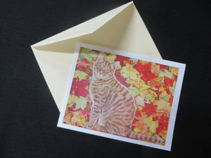 Autumn Tabby Note Card